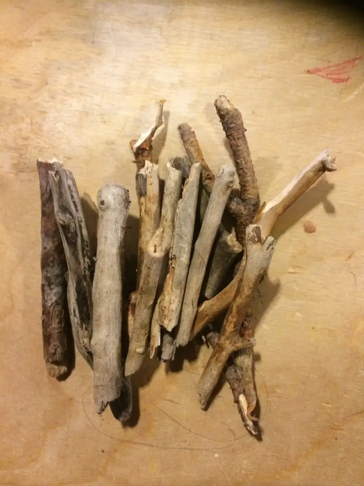 The photograph shows a pile of small, dry twigs and sticks on the floor. The twigs vary in thickness and colour from grey to brown, and they are arranged randomly.