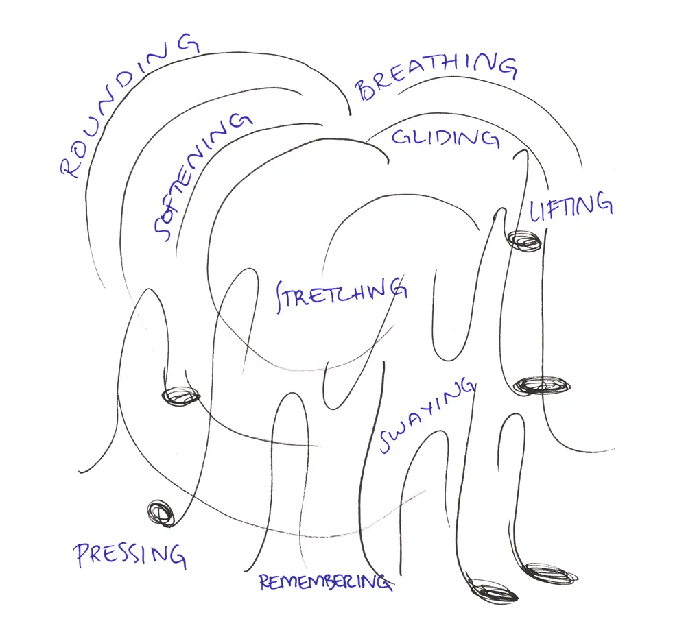 A hand-drawn image featuring black curved and winding lines and small coloured circles. Nine different actions are written in blue handwriting: &ldquo;Rounding,&rdquo; &ldquo;Breathing,&rdquo; &ldquo;Lifting,&rdquo; &ldquo;Softening,&rdquo; &ldquo;Pressing,&rdquo; &ldquo;Swaying,&rdquo; &ldquo;Remembering,&rdquo; &ldquo;Stretching,&rdquo; and &ldquo;Gliding.&rdquo;