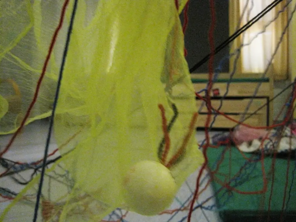 A photograph showing several coloured threads and chiffon scarves hanging in the multipurpose room of a daycare centre. A handmade spider is inside a scarf hung on a structure made of colourful threads.